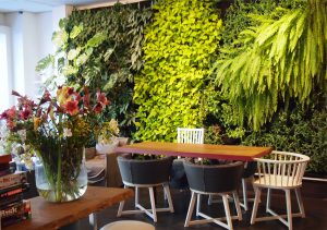 Conscious Plantenmuur