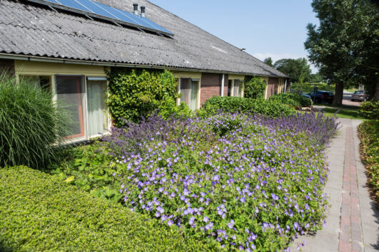Boertel Lentemaheerd