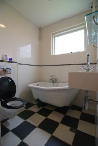 Twa Blomkes tweede badkamer (niet aangepast)