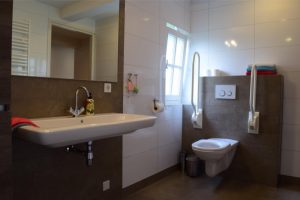 De Maasgaarde, badkamer, toilet met beugels