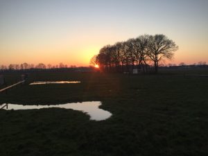Kamelenboerderij, zonsondergang
