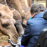 Kamelenboerderij, Linda bij de kamelen