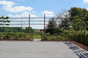 Villa Veldzicht, terras/tuin