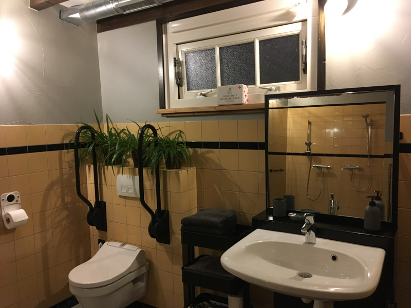 Honswijck, rolstoeltoegankelijk badkamer, toilet en wastafel
