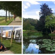 collage van foto's in Oranjewoud, Eelke kijkt foto's op doeken bij museum Belvedere, Tjeerd wandelt over een lange laan met bomen