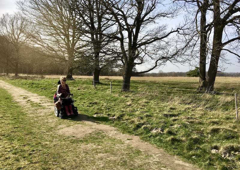 Eelke in haar elektrische rolstoel op een wat hobbelige graspad (holtingerveld) lang een rij bomen met weids uitzicht