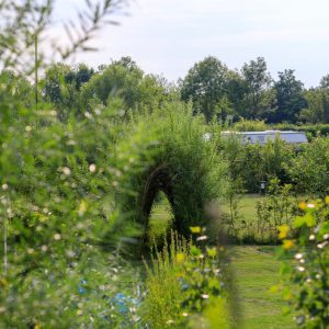 Natuurlijk doorkijkje met veel groen op de camping