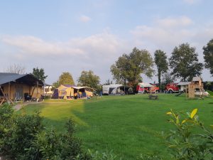 grasveld met aan de rand de safaritemt en andere kampeermiddelen