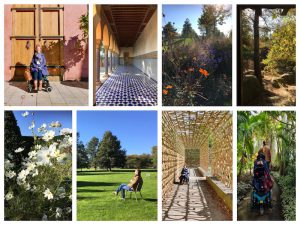 Collage van 8 foto's van verschillende hoeken in de tuinen