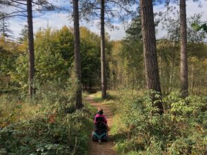 Mastbos met hoge bomen en Eelke als kleine figuur in een rolstoel van achter gefotografeerd op een smal pad