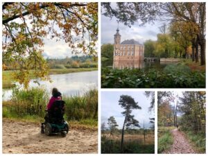 Collage van foto's in het Mastbos met Eelke en Tjeerd