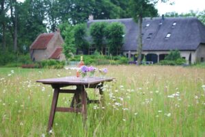Grasland met bloemen, op de achtergrond de boerderij van Nuwenhuys en het bakhuisje