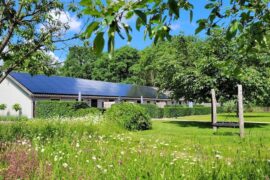 Camping Schoneveld
